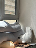 浪莎妈妈内衣前开扣夏季薄款透气胸罩舒服纯棉里杯防下垂中老年文胸 实拍图