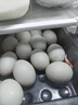 温润食品鲜鸭蛋30枚/3.3斤 散养土鸭蛋 杂粮喂养 农家生鸭蛋 实拍图