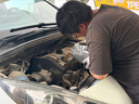 美孚（Mobil）全合成汽机油5W-30 SP级4L美孚1号极光银汽车保养京东养车自营 实拍图