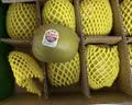 佳沛（zespri）新西兰阳光金果10个装单果重约103-114g 水果礼盒 猕猴桃 实拍图