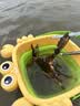 漫生活赶海工具套装大全海边挖蛤蜊抓螃蟹神器沙滩铲子儿童装备挖沙耙子 【一家三口】亲子畅玩赶海13件套 实拍图