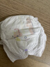 babycare一整夜拉拉裤miniXL16片(12-17kg)大吸量透气夜用安睡婴儿尿不湿 实拍图