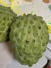 三萌果蔬凤梨牛奶释迦果【顺丰-多地次日达】释迦摩尼果番荔枝新鲜水果 【较甜·精选果】单果150-250g 3斤装【实惠尝鲜·较划算】净2.5斤 实拍图