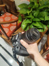 佳能（Canon）佳能R10 18-150 入门级微单相机 eos r10半画幅 Vlog拍摄 4K高清视频 学生旅行家用 拍摄必备套装  实拍图