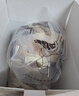 Gund躲猫猫小熊抬头训练毛绒玩具安抚公仔婴儿玩具新生儿 礼物 实拍图
