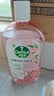 滴露（Dettol）香氛自然衣物消毒液1L*4  留香48H洗衣除汗臭 儿童玩具杀菌消毒水 实拍图