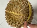 京鲜生 进口金枕头鲜榴莲 净重4-5斤 1个装 生鲜 新鲜水果 新鲜榴莲 实拍图