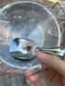 不锈钢小吃碗儿辅食碗泡面碗防摔大号创意个性碗泡面碗水果碗勺子 13cm双耳碗+卡皮巴拉勺 实拍图