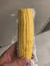 佳农东北水果玉米棒6*240g 真空包装 开袋即食 源头直发 生鲜礼盒 实拍图