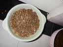网易严选全价猫粮4.0 宠物主粮成幼猫高蛋白禽肉 鸡鸭禽肉味50g*2 试吃 实拍图