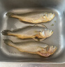 海角7号冷冻宁德三去大黄鱼净重1kg/3-4条大黄鱼生鲜鱼类深海鱼纯鱼肉 实拍图