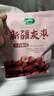 十月稻田 新疆灰枣 500g 若羌大枣 红枣 桂圆银耳煲汤煮粥泡水 即食零食 实拍图