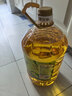 金龙鱼 食用油 非转基因 物理压榨玉米油6.18L（蕴含植物甾醇） 实拍图