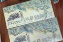 茶颜悦色冷泡茶包 同心瓶桂花&蜜桃乌龙2盒80g共32枚节日七夕礼物水果茶 实拍图