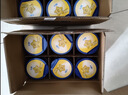 飞鹤星飞帆3段幼儿配方奶粉(1-3岁)700g*6 专利OPO A2奶源 28天新鲜 实拍图