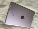 Apple苹果ipad9/10/Pro2022/21/20款 /air5/mini7/6二手平板电脑 iPad mini5 实拍图
