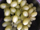 新疆无籽露葡萄450g 实拍图