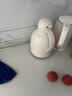物生物保温壶家用大容量水壶宿舍热水壶玻璃内胆暖壶保温瓶热水瓶礼物 实拍图