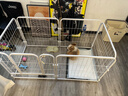 嘉际狗围栏室内宠物围栏狗笼子狗栅栏狗笼小中大型犬猫围栏狗笼折叠 120*60*60cm【适合中小型犬】 实拍图