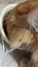 希宝原装进口肉块猫罐头吞拿鱼虾及三文鱼成猫35g*12整盒装白金妙鲜包 实拍图