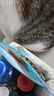 双汇王中王儿童肠20g*15支DHA火腿肠猪肉肠儿童宝宝零食早餐方便面 实拍图