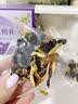古茶养仁酸梅汤原料包400g【京东自营】无添加剂桂花乌梅汤包配有冰糖 实拍图