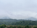 美素佳儿（Friso）皇家婴儿配方奶粉1段（0-6个月婴儿适用）400克 乳铁蛋白 新国标 实拍图