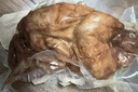 德州扒鸡公鸡熏香味下酒菜山东特产鸡肉熟食腊味500g中华老字号 实拍图