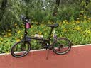 大行（DAHON）P8折叠自行车经典成人20英寸8速折叠车男女式运动单车KBC083 消光黑【经典版】 实拍图