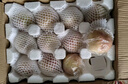 生活＆好管家山西水蜜桃毛桃子新鲜水果超甜多汁现摘 整箱10斤（净重8.5斤）单果100g+ 实拍图