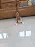 HELLOJOY狗狗玩具球小狗磨牙棒骨头耐咬狗咬胶小型犬宠物用品幼犬自嗨解闷 实拍图