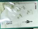 天章 （TANGO）A4打印纸70g500张/包 8包/箱 天章雅【实用品质】白纸草稿纸资料打印复印纸整箱4000张 实拍图