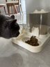 疯狂的主人猫粮自动喂食器饮水一体猫碗狗碗猫食盆猫咪猫盆宠物用品喝水双碗 实拍图