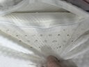 京东京造新梦享乳胶枕 93%天然乳胶 泰国进口成人护颈颈椎枕头一对装 实拍图