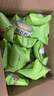 三只松鼠绿豆饼500g 传统中式糕点绿豆糕特产点心办公室下午茶小吃 实拍图