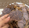 湾琴河草果50g罐装 火锅底料配料香辛料炖肉卤肉烧炖卤料厨房调味料 实拍图