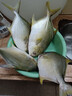 环球水产南海金鲳鱼净重2斤/2条 深海昌鱼生鲜鱼类海鲜纯鱼肉 实拍图