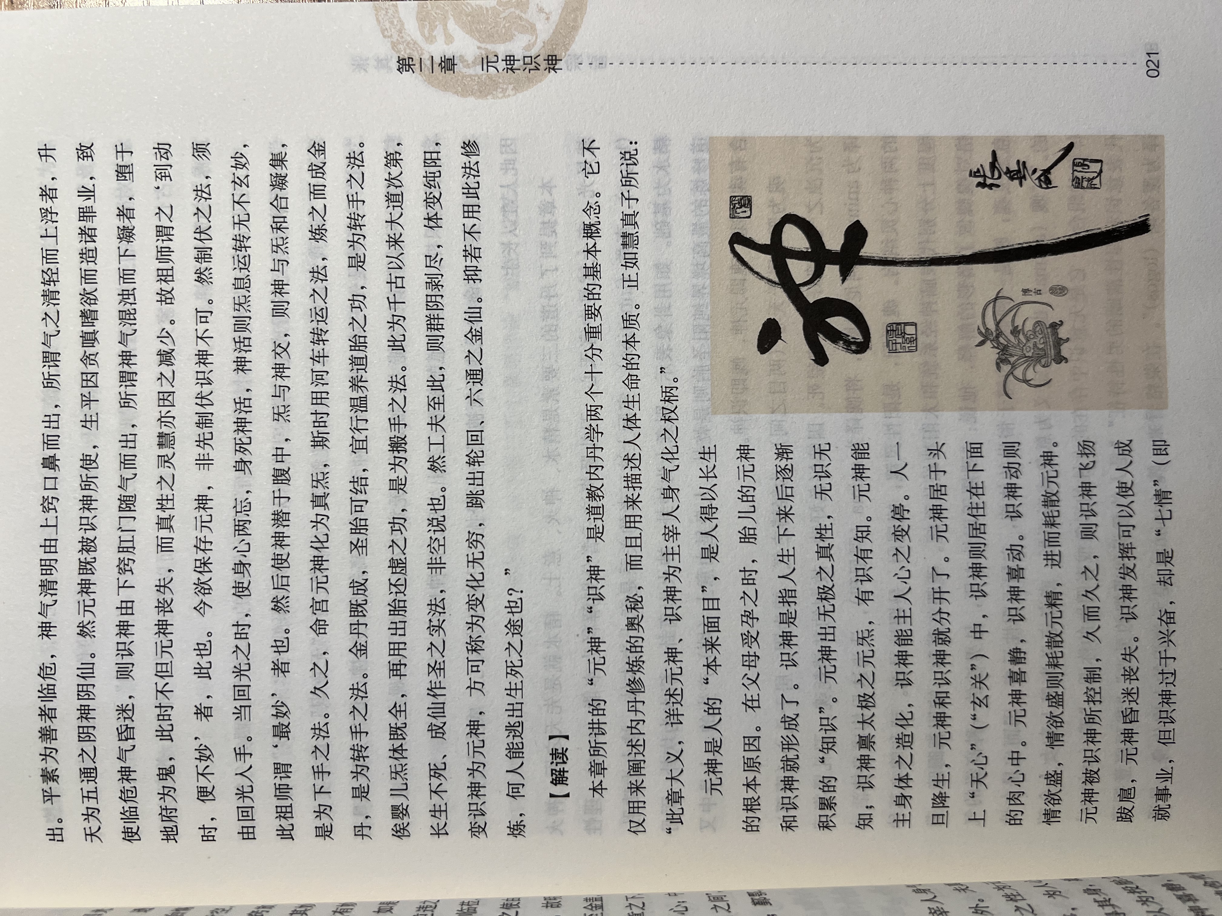 张其成全解太乙金华宗旨 原版 张其成 太乙金华录今译 张至顺 吕祖全书 讲易经全解周易黄帝内经养生原理修身养性 书籍 实拍图