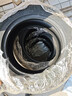 马牌（Continental）汽车轮胎205/60R16 96V XL FR UCJ+ 适配轩逸/新福克斯/速腾 实拍图