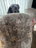三吉黑花【明星北京同款】【扶光】新中式珠片刺绣丝绒半身裙蕾丝 银灰 L 实拍图