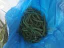 东阿阿胶桃花姬阿胶糕180g*2礼盒装即食阿胶送长辈女礼品七夕情人节礼物 实拍图