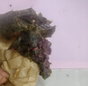 黄金香寿司海苔片28克（10大片）带竹帘紫菜包饭无添加寿司卷料理食材品 实拍图