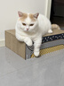 pidan猫砂 豆腐猫砂2.4kg*4包强力吸臭纯猫砂 可冲厕所非膨润土砂 实拍图