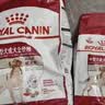 皇家狗粮 成犬狗粮 犬粮 宠物大型犬 GR26全价犬粮≥15月15KG 实拍图