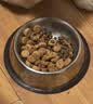 LEGENDSANDY蓝氏狗粮主食冻干生骨肉成犬中小大型犬通用全价彩虹猎宴240g 实拍图
