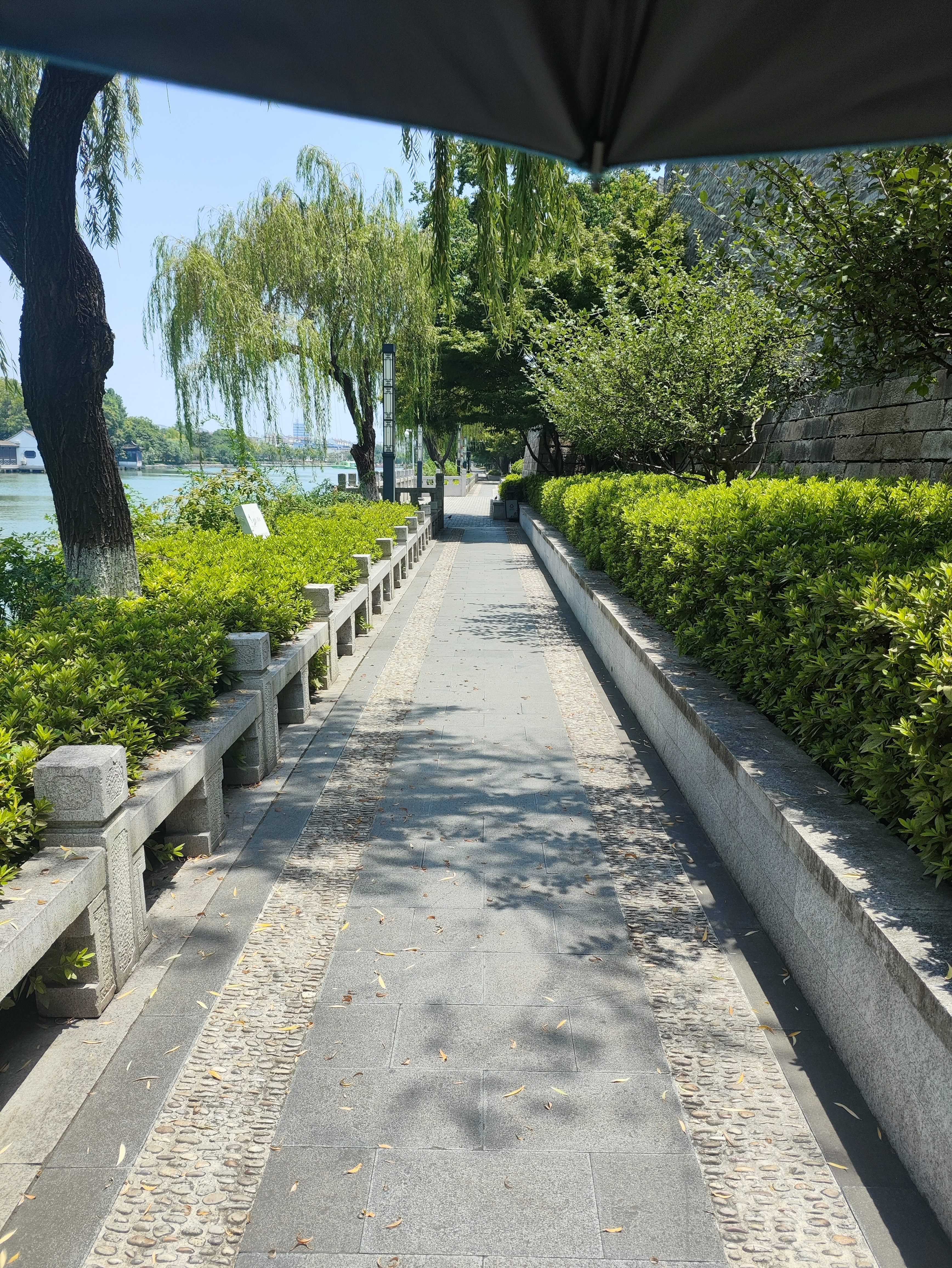 徽六绿茶寻味300六安瓜片150g 2026新茶罐装茶叶自己喝买 实拍图
