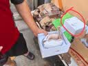京东京造智能眼部按摩仪E5s 可视化热敷眼罩眼睛按摩仪儿童护眼仪按摩器缓解疲劳 七夕节礼物送男女朋友 实拍图