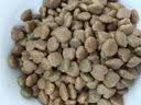 麦富迪狗粮 藻趣儿狗粮成犬粮牛肉螺旋藻 均衡营养15kg/30斤 实拍图