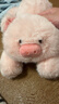 名创优品（MINISO）福莉丝猪系列趴姿公仔毛绒玩具玩偶抱枕娃娃生日礼物女 实拍图