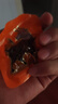 张飞香辣灯影牛肉丝100g*2+五香灯影牛肉丝100g*1四川特产 实拍图